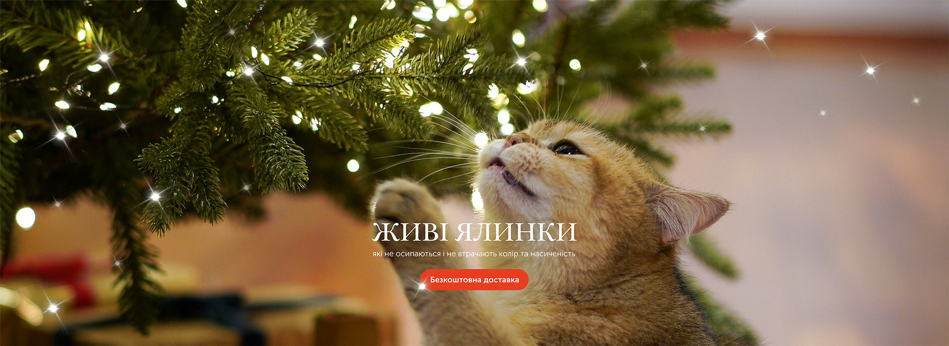Image Slider